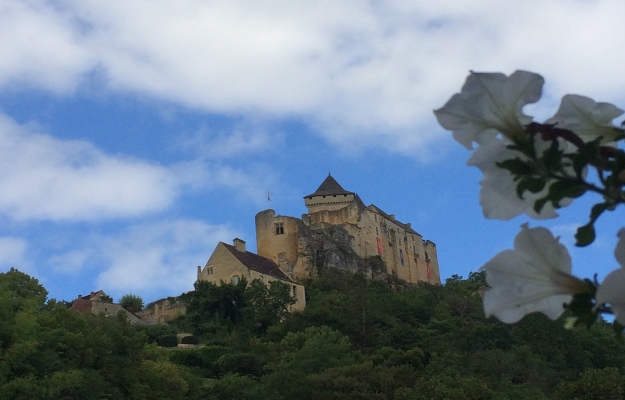 En Dordogne. Ce magnifique camping est à vendre
