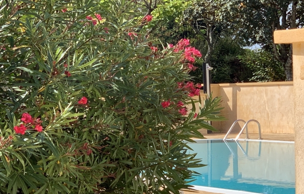Ce camping de charme en Perigord Noir est en vente