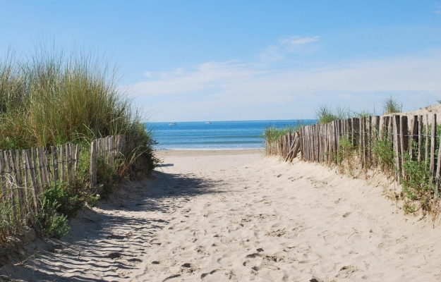 Nouvelle Aquitaine. Camping à vendre à quelques kilomètres des plages
