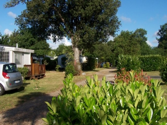 En Nouvelle Aquitaine, en rétro littoral, ce camping dans le village est en vente.