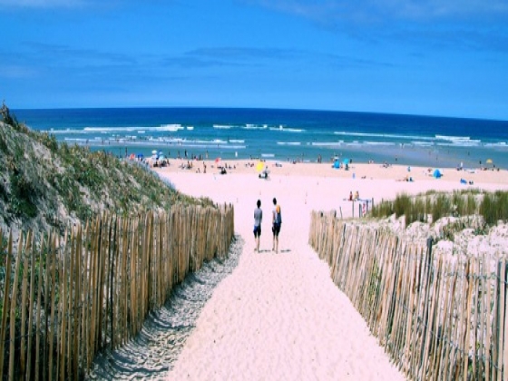 Aquitaine. A quelques kilomètres des plages. camping a vendre rare....